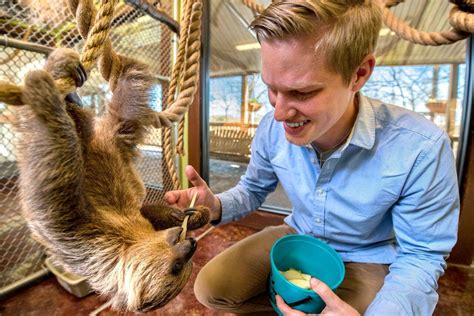 Branson's promised land zoo - Branson’s Promised Land Zoo is a top-rated animal attraction for families and animal lovers. Visitors love the opportunities that the petting zoo brings, from getting up close …